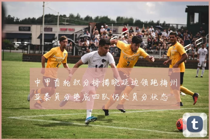 中甲首轮积分榜揭晓延边领跑梅州亚泰负分垫底四队仍处负分状态